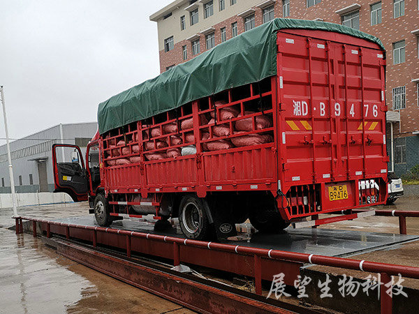 油茶鲜果收购 油茶鲜果收购