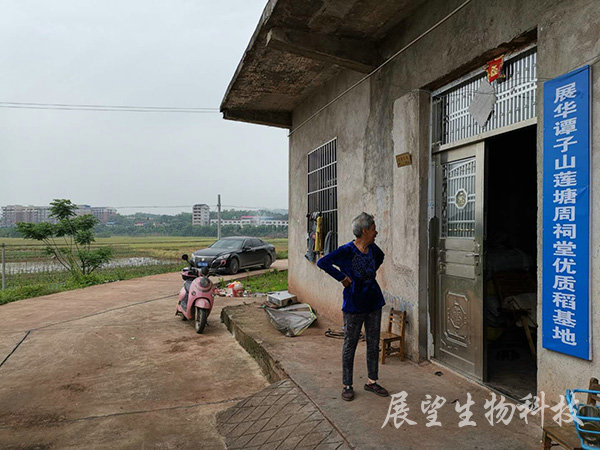 优质稻生产基地 优质稻生产基地