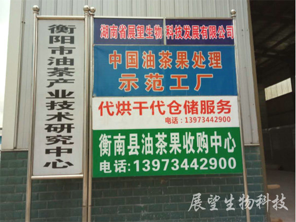 公司实景1 公司实景1