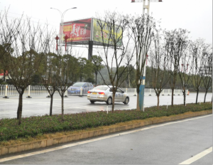 ũƷӹ,ʳչ,ϵֲ,ʡƼչ޹˾